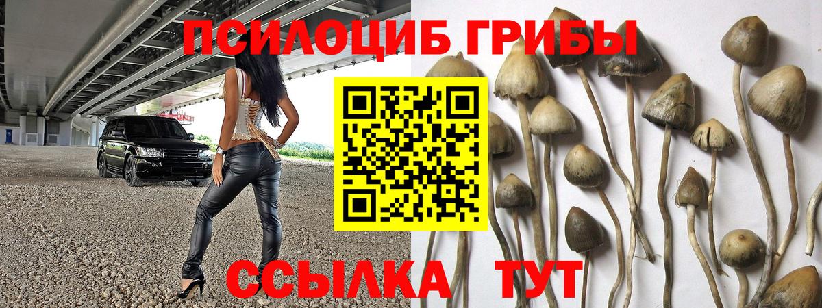 Псилоцибиновые грибы GOLDEN TEACHER Кудымкар